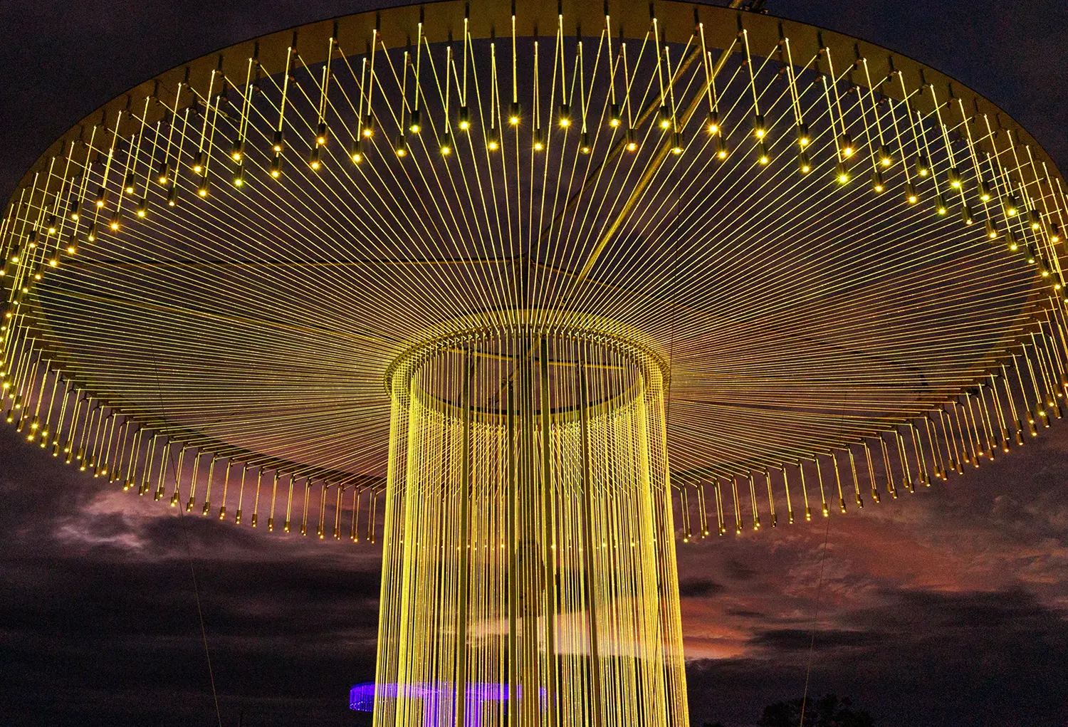 Close-up of a golden fiber-optic light structure by Bruce Munro against a dark sunset sky.