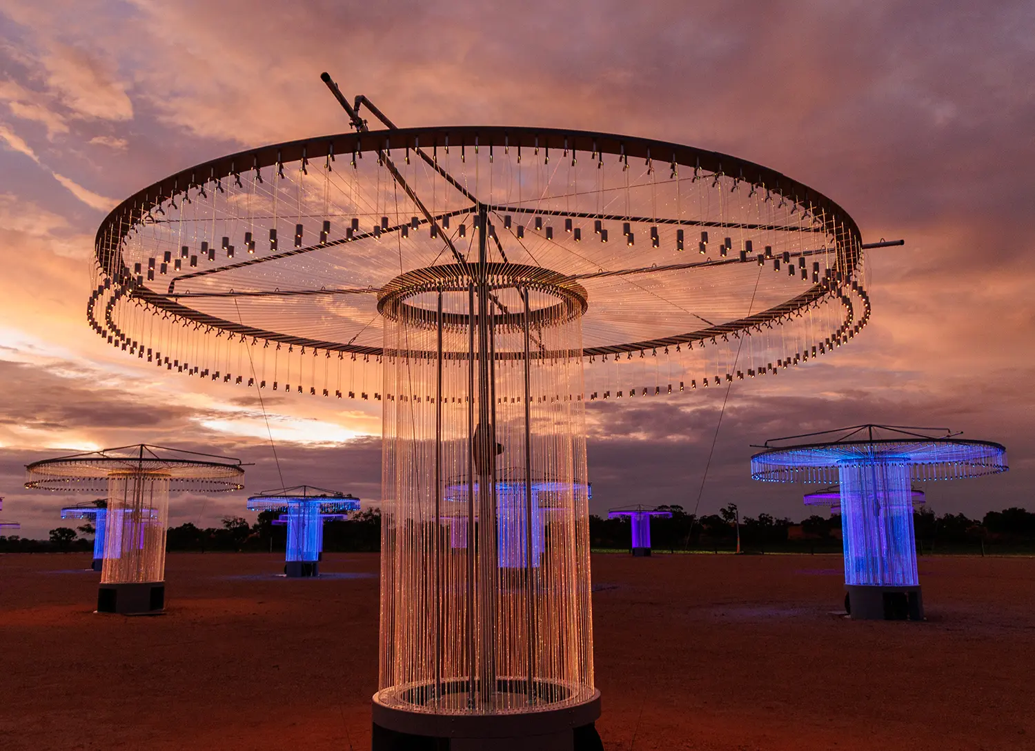 Bruce Munro FOSO sculptures glowing in soft white and blue during an orange Australian sunset.