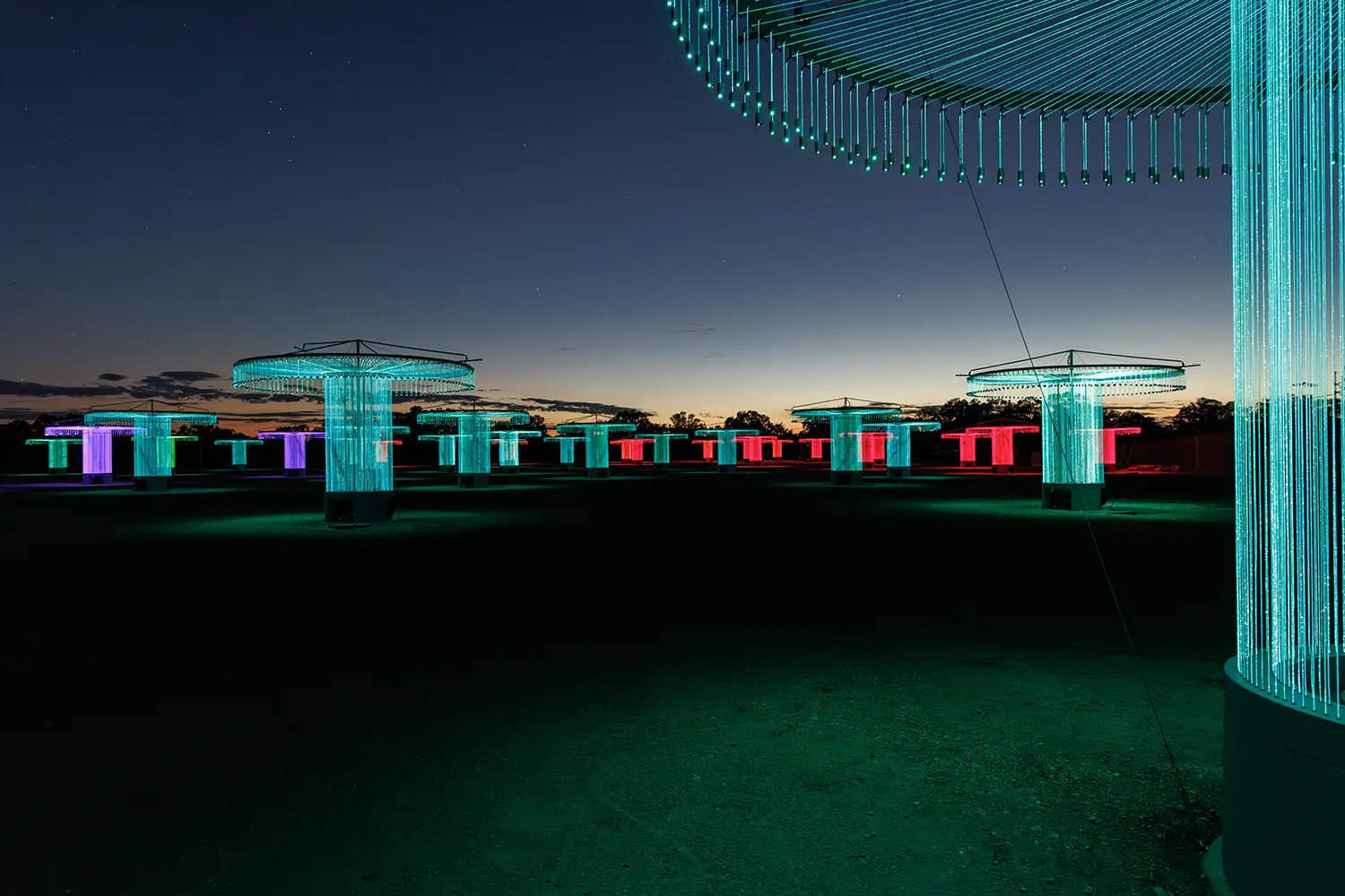 Cyan and red fiber-optic light installation by Bruce Munro in the Australian bush at night.