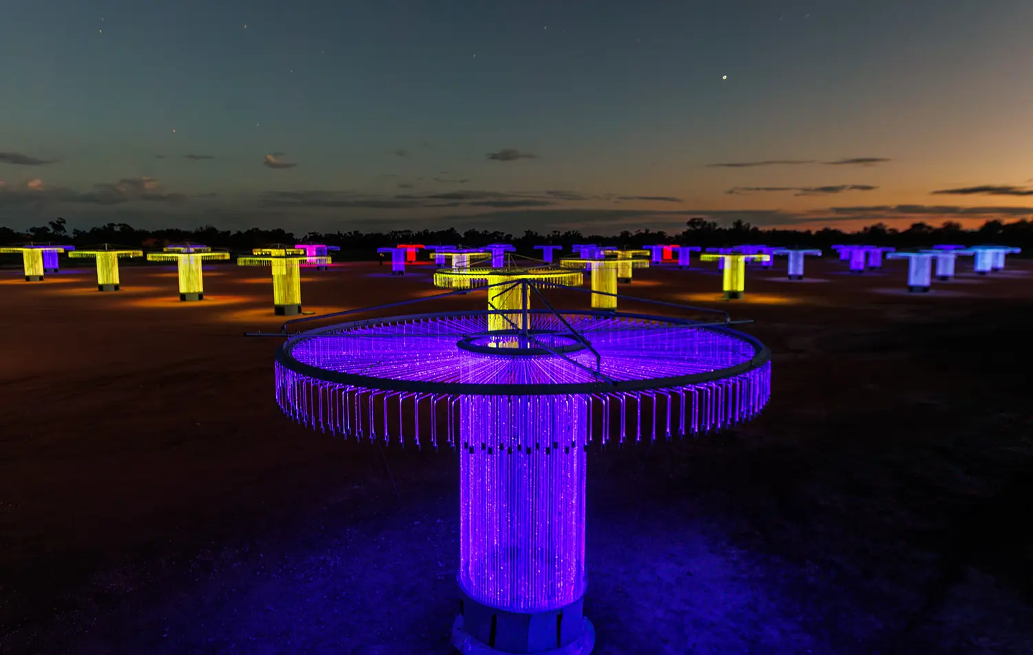 High-angle view of Bruce Munro's FOSO light installation featuring purple, yellow, and blue circular sculptures.