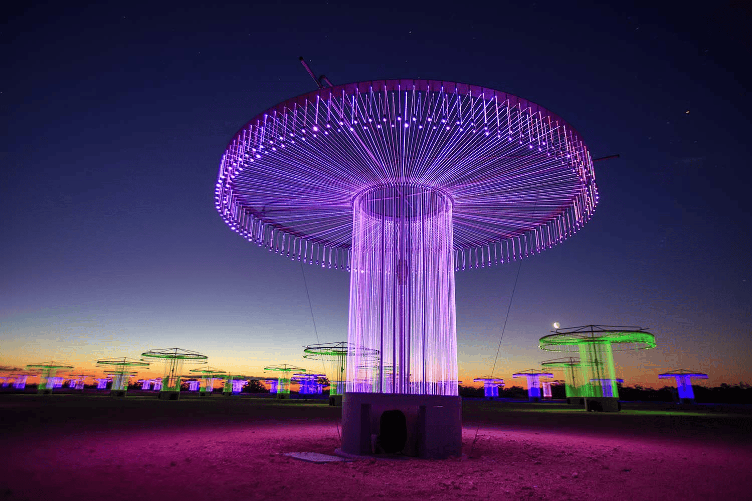 Animated view of Bruce Munro's FOSO sculptures shifting colors from purple to green.