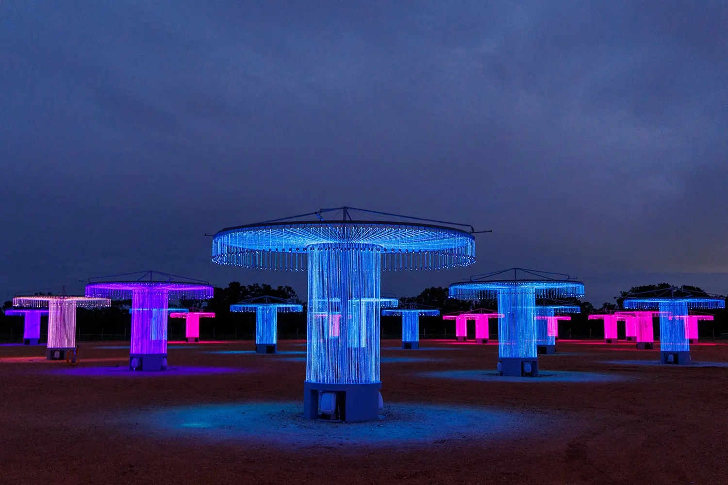 Symmetrical view of blue and pink fiber-optic sculptures by Bruce Munro under a cloudy night sky.