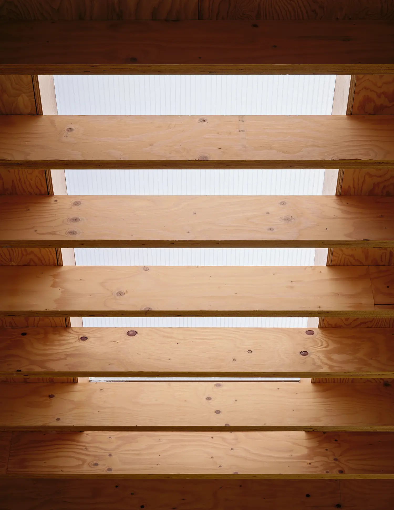 Looking directly up at a skylight filtered through parallel exposed wooden rafters.