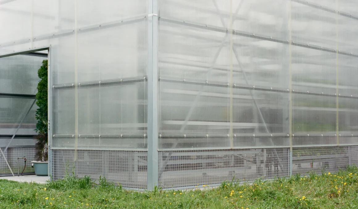Exterior corner of a modern polycarbonate greenhouse with a galvanized steel frame in a grassy field.