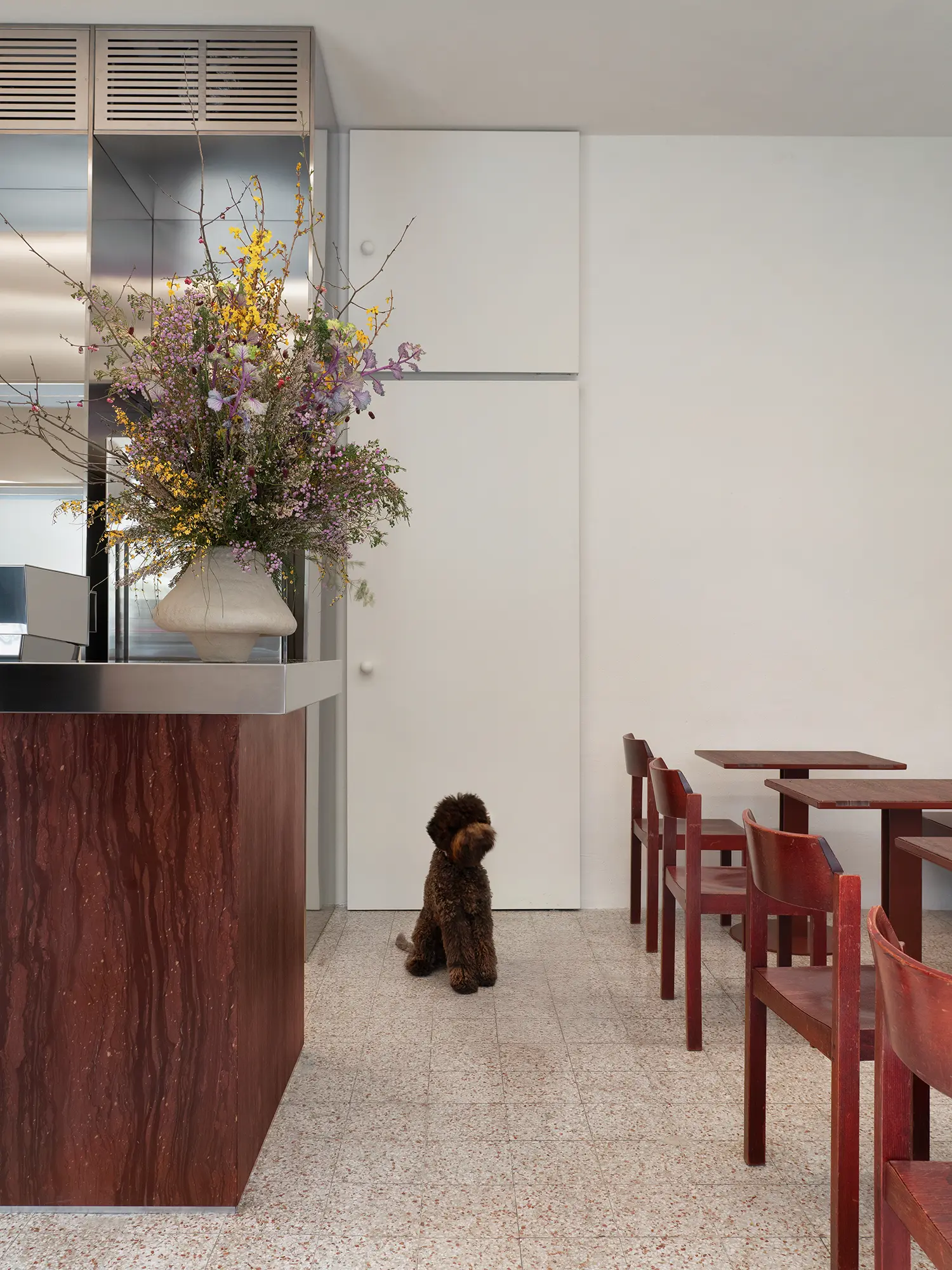 Interior view of Bar Rito featuring a dog sitting on the terrazzo floor near the Wenghe Bordeaux marble counter.