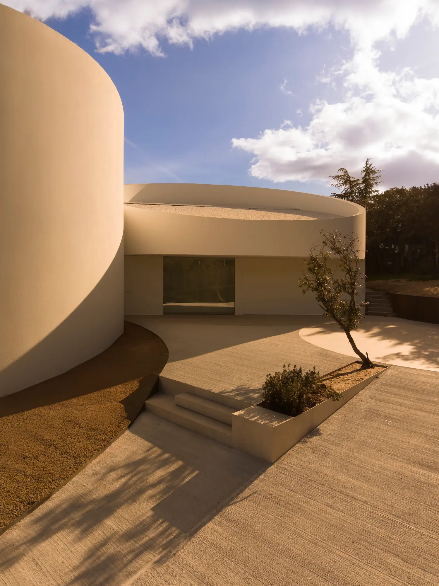 Ground-level exterior of House in Las Rozas, curved white cylinder wall meeting entrance steps with single tree and concrete paving
