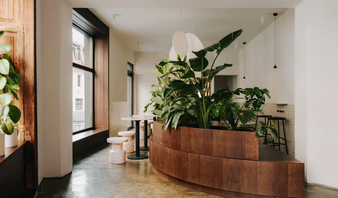 Interior of Napar café in Toruń by Znamy się, curved wooden seating volume with lush greenery beneath round white pendant lights, terrazzo stools