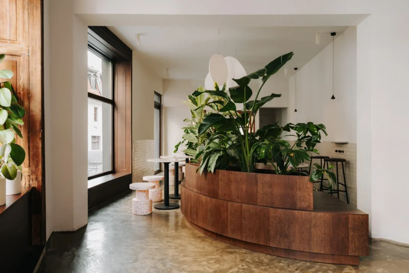 Interior of Napar café in Toruń by Znamy się, curved wooden seating volume with lush greenery beneath round white pendant lights, terrazzo stools
