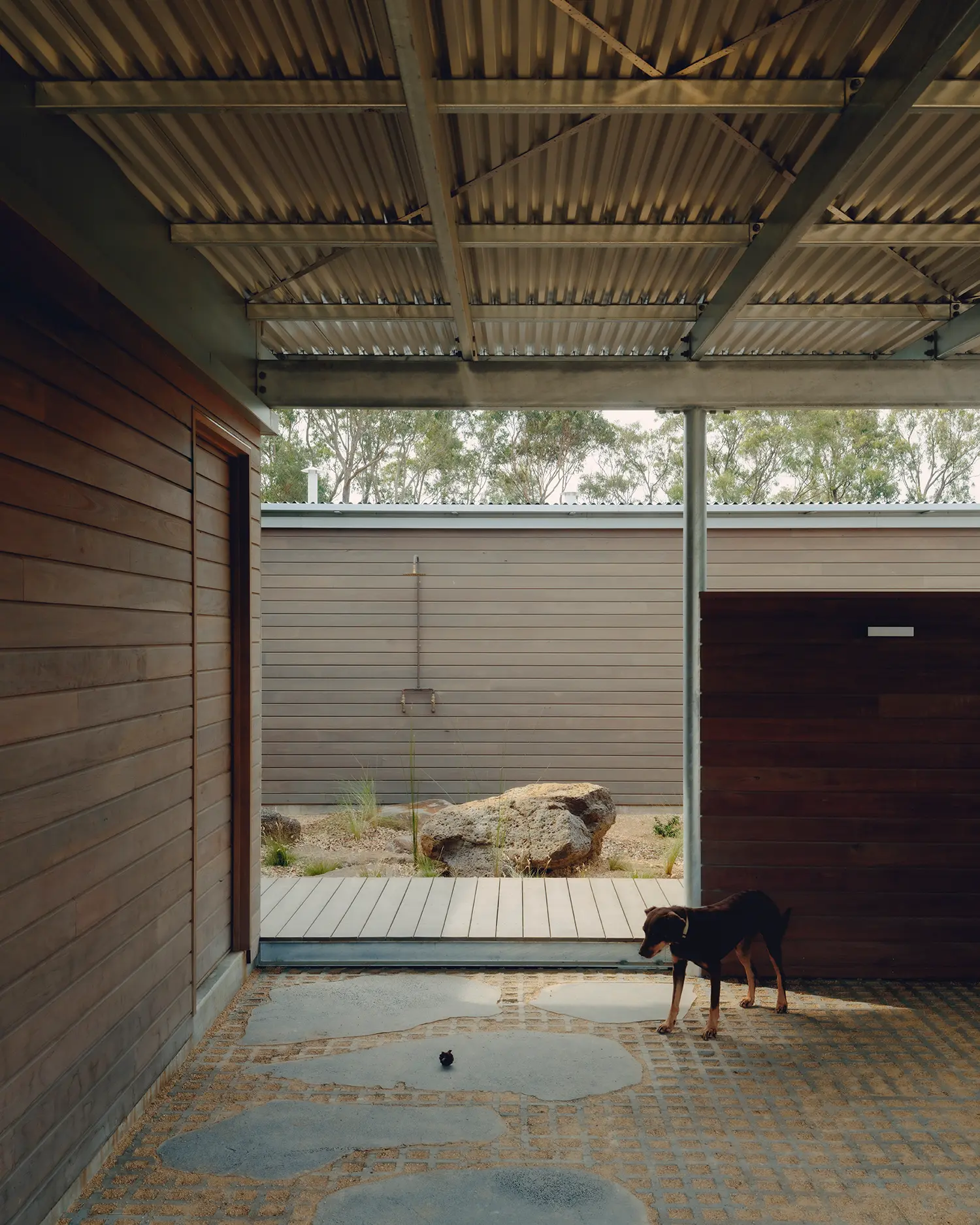 Ironbark House Not All Architecture covered breezeway corrugated steel roof galvanized frame ironbark cladding transitional thermal zone