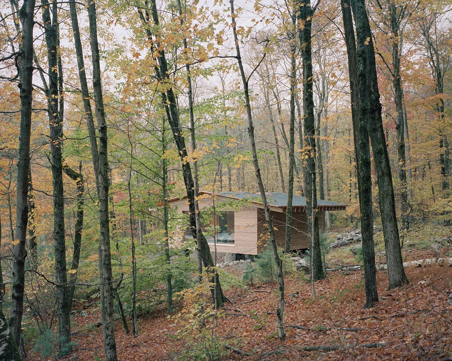 The Findling by Of Possible seen through dense autumn trees in Austerlitz, New York, larch cabin elevated above the forest floor