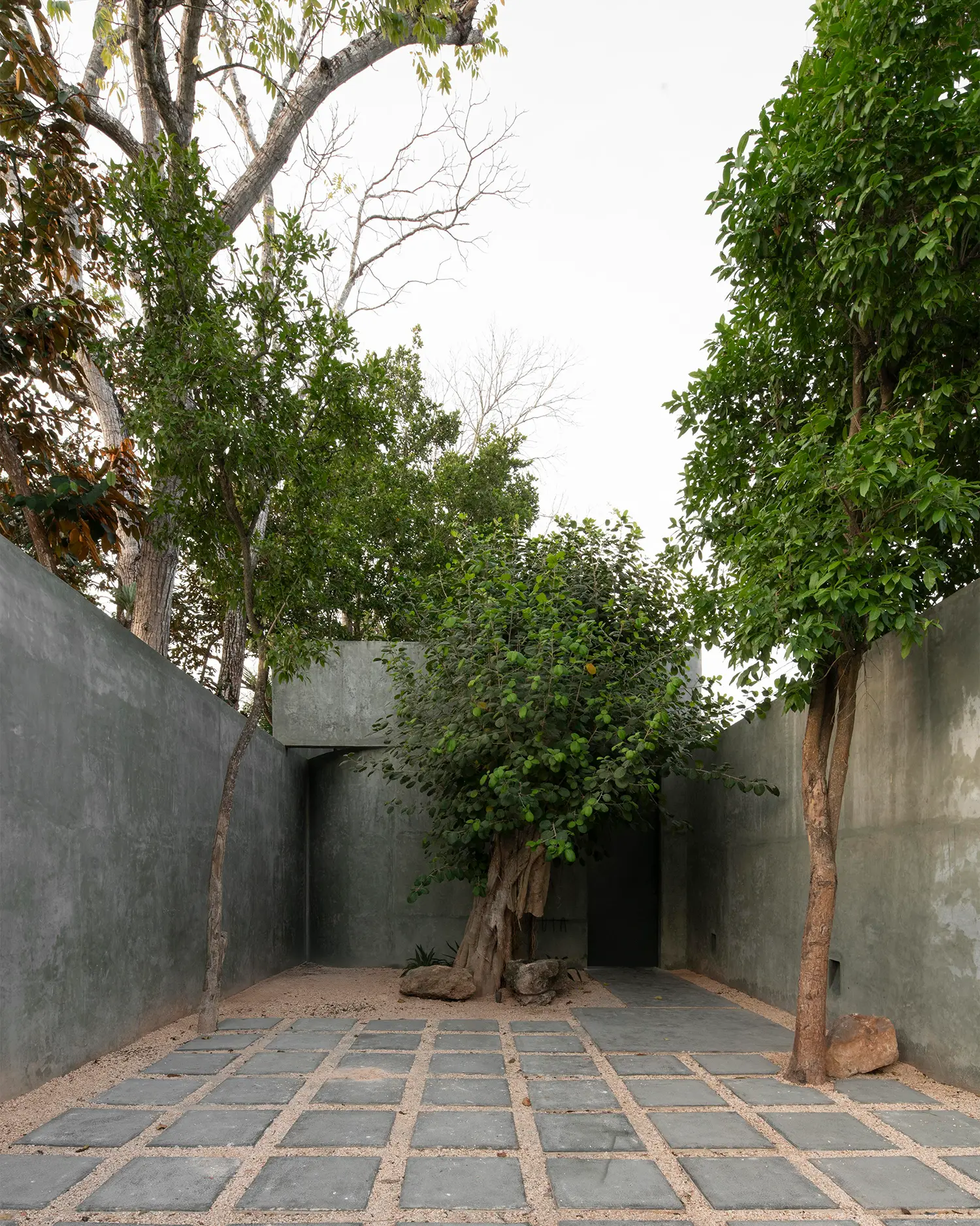 Casa Gruta by Salvador Román & Adela Mortera, concrete entrance courtyard with existing álamo tree and stone paving, Valladolid, Yucatán
