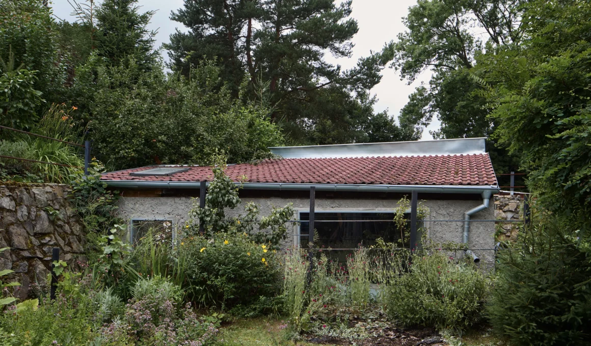 Panoší Újezd Summer House by Lenka Milerová: exterior view of the renovated pigsty with stone base, rendered walls, and tiled roof among overgrown garden