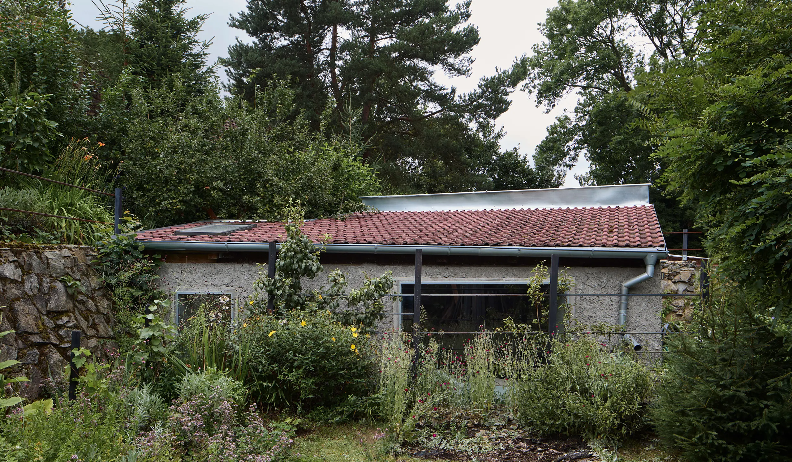 Panoší Újezd Summer House by Lenka Milerová: exterior view of the renovated pigsty with stone base, rendered walls, and tiled roof among overgrown garden