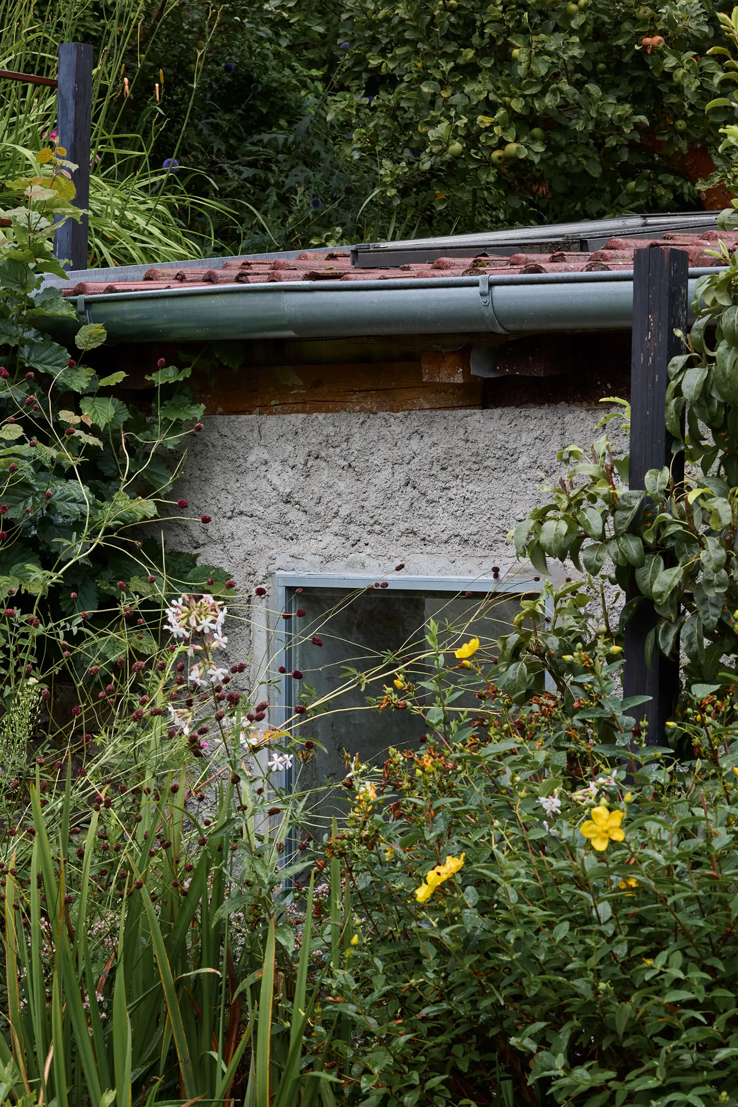 Panoší Újezd Summer House by Lenka Milerová: exterior detail of a new concrete-framed window set into the rendered facade among overgrown planting